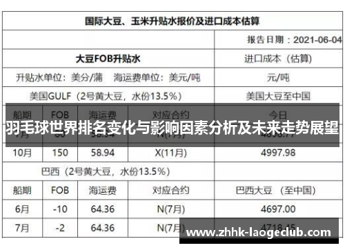 羽毛球世界排名变化与影响因素分析及未来走势展望 羽毛球世界排名变化与影响因素分析及未来走势展望